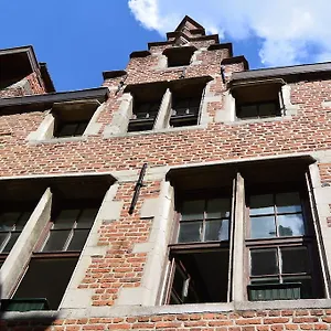 Bedstarline Antwerpen